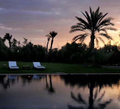 Serene sunset view of palm trees and loungers by a tranquil pool in Marrakech.