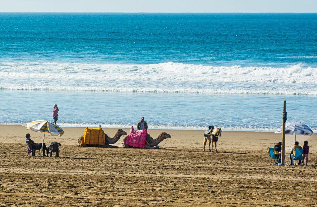 how much is rent in morocco