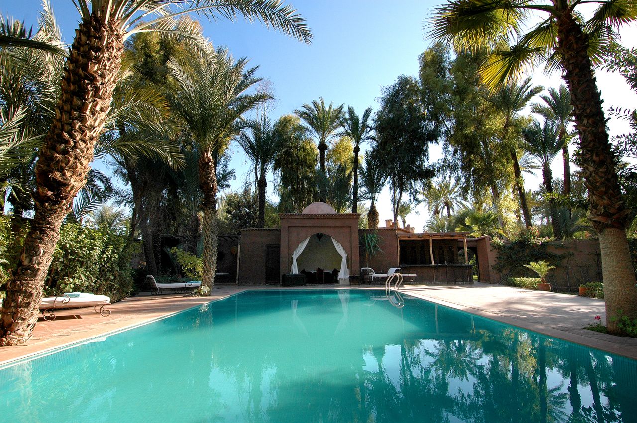 A stunning tropical resort pool surrounded by lush palms, perfect for a summer vacation.